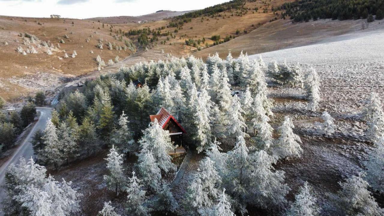 Previja Zlatibor Chalet Εξωτερικό φωτογραφία