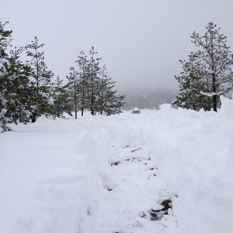 Previja Zlatibor Chalet Δωμάτιο φωτογραφία