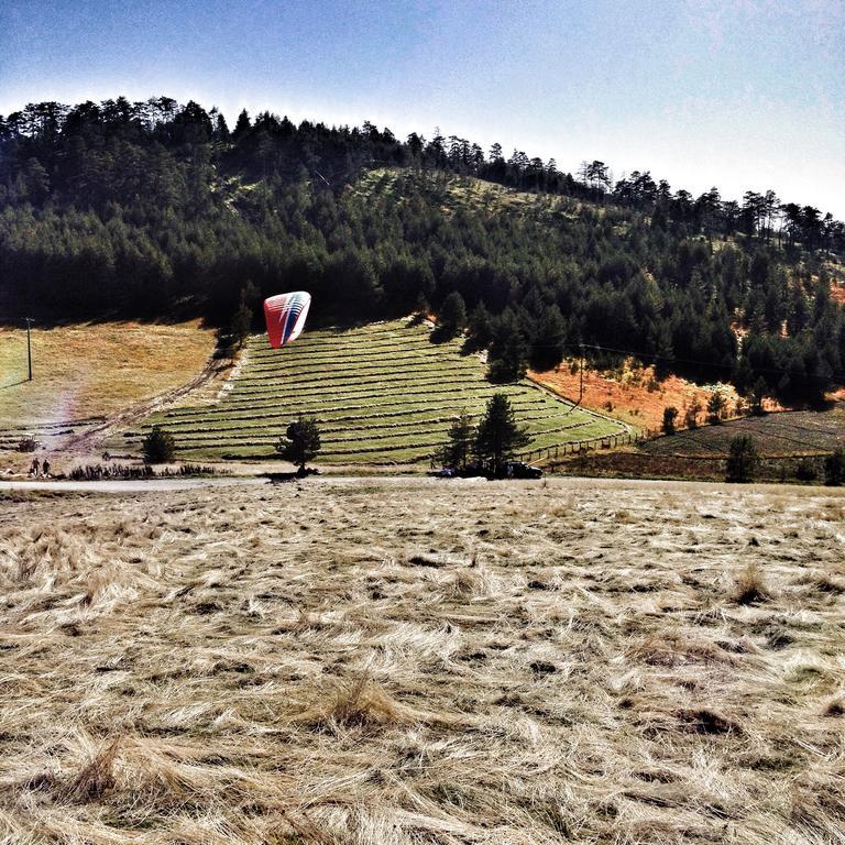 Previja Zlatibor Chalet Δωμάτιο φωτογραφία