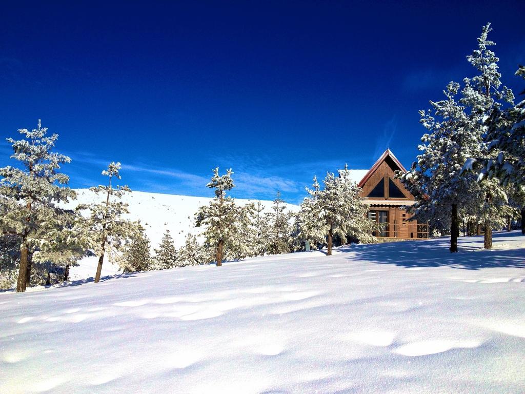 Previja Zlatibor Chalet Εξωτερικό φωτογραφία